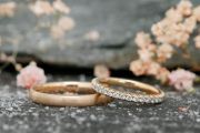 morepic-1
