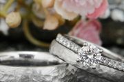 morepic-3